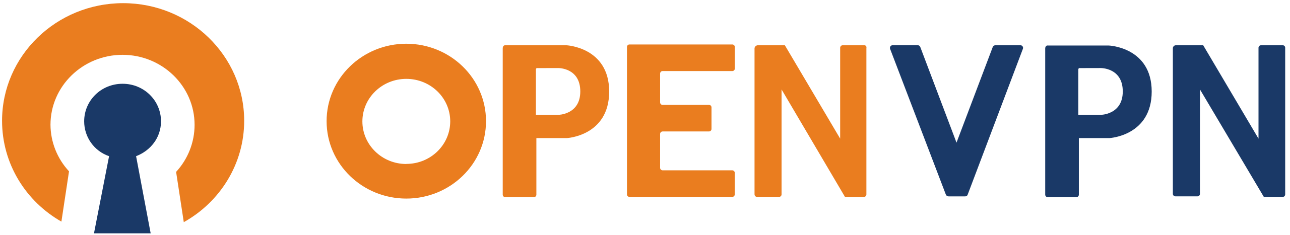 OpenVPN Logo